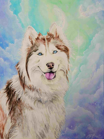 Husky Commission