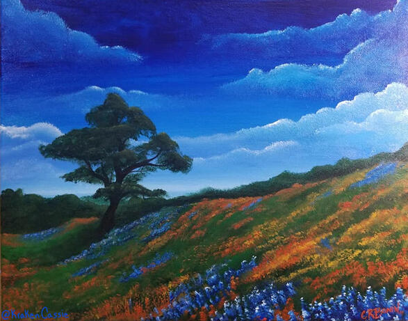Texas Hill Country